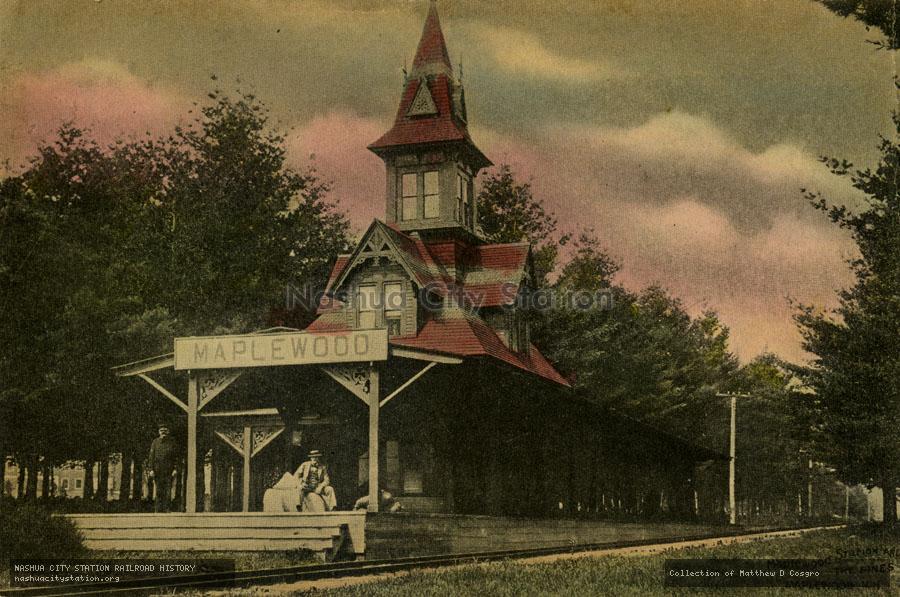 Postcard: Maplewood Station and The Pines, Maplewood, New Hampshire